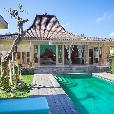 Mana Sari Villa Ubud Eksteriør bilde